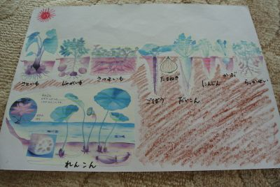 小学校受験 土の中で育つ野菜 土の上で育つ野菜について 東京 ママのための名門女子小学校合格 工作折り紙 巧緻性 生活習慣 お行儀 面接 サイト